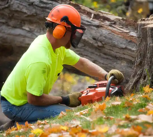 tree services Dulac